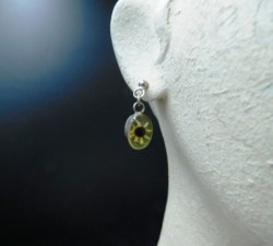 DRIED FLOWERS SET EARS
